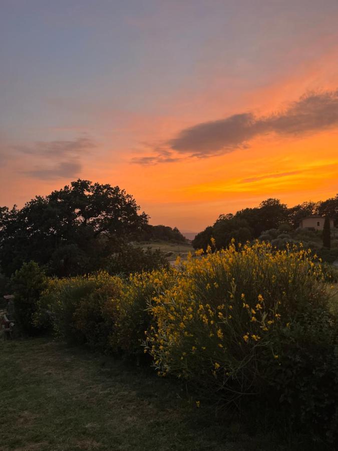 Apartmán Casa Al Vento Cerreto Guidi Exteriér fotografie